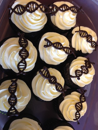 DNA Cupcakes